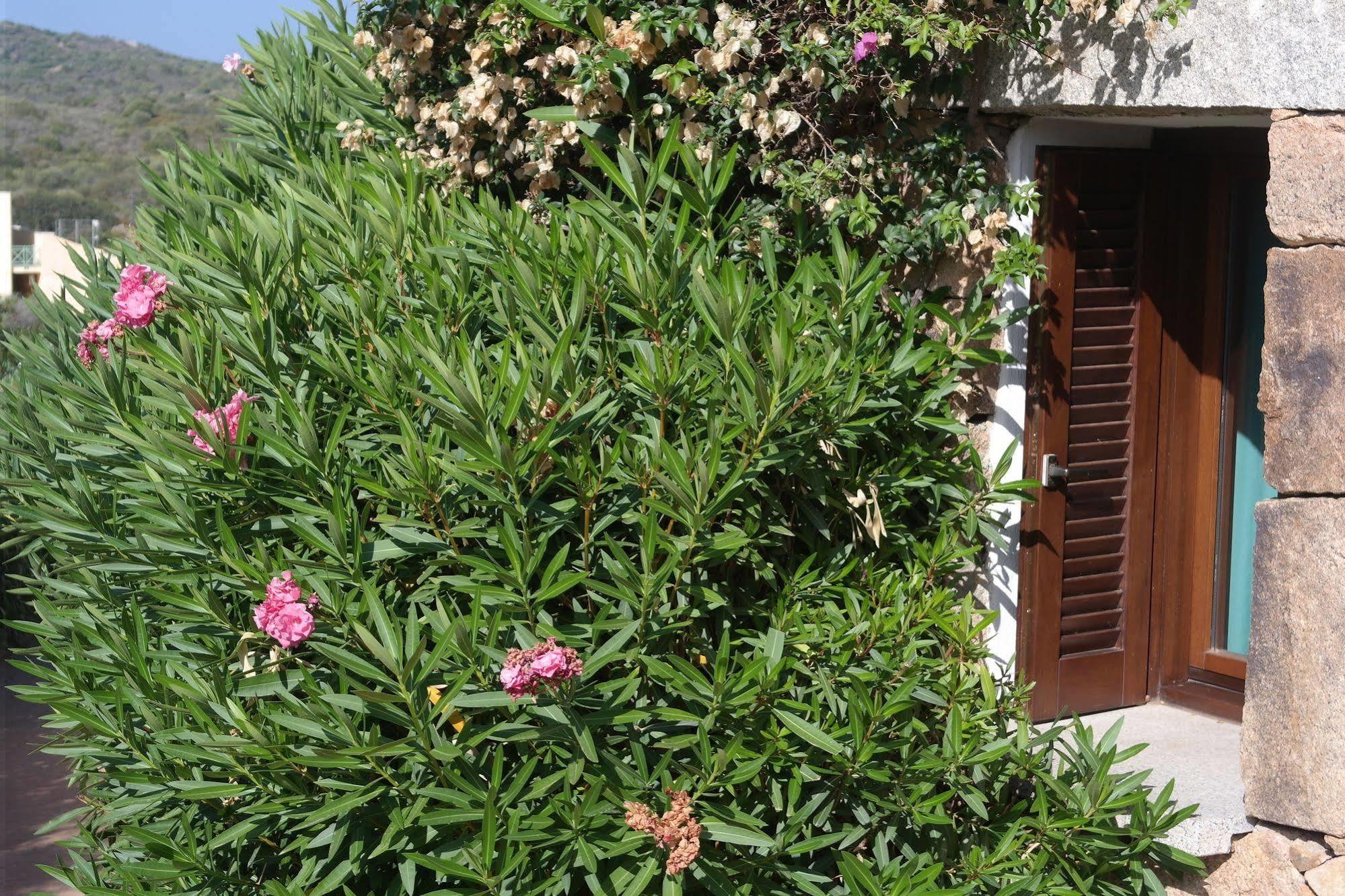 Sardinia Blu Residence Golfo Aranci Exteriör bild